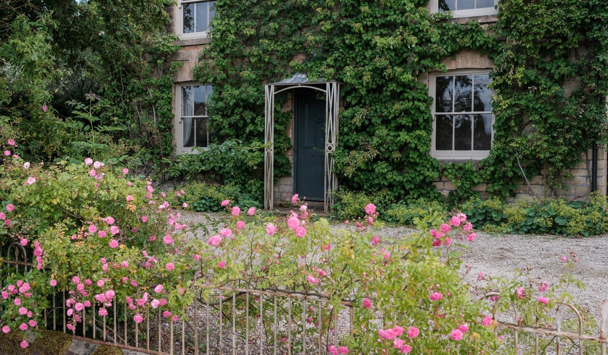 Growing dahlias in pots for small UK gardens